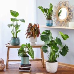 ROME Blumentopf Ø15cm 9 ROME Blumentopf Ø15cm -Haushaltsgegenstände Rabatte 10224658 4