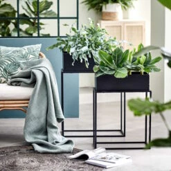 PLANTA Pflanzkasten Mit Gestell B 45 X T 21cm -Haushaltsgegenstände Rabatte 10226170 1