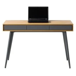 DANICA Schreibtisch -Haushaltsgegenstände Rabatte 71000703 4