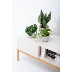 COOBY TV-Lowboard -Haushaltsgegenstände Rabatte 71000756 2