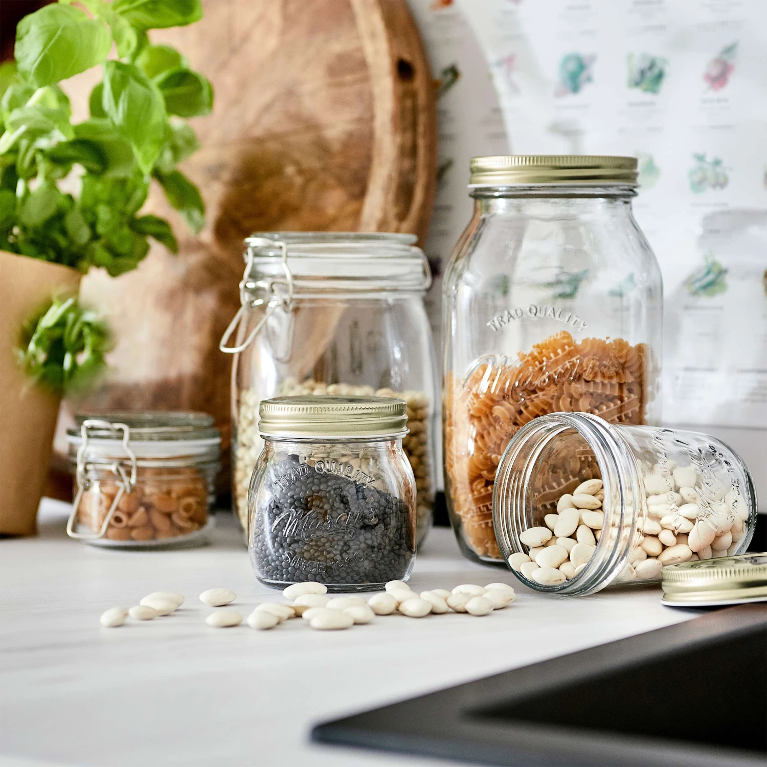 MASON'S 6x Aufbewahrungsgläser 220ml 7 MASON'S 6x Aufbewahrungsgläser 220ml – Bild 7